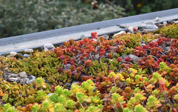 the cost of Hannington Wick green roof installation