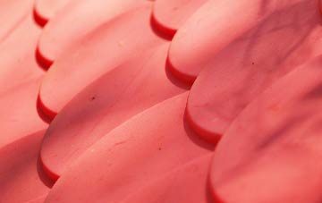 Hannington Wick plastic roof costs